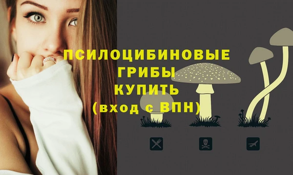 первитин Арсеньев