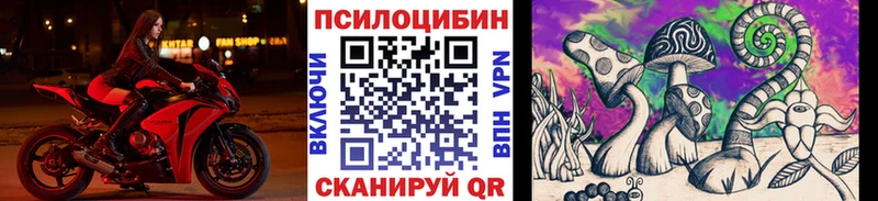 Псилоцибиновые грибы прущие грибы  Приозерск 