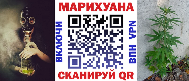Шишки марихуана White Widow  Приозерск 